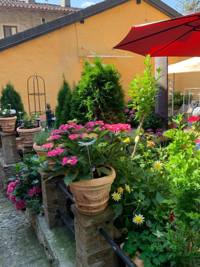 Rustico auf Burg Apartment Locarno Exterior foto